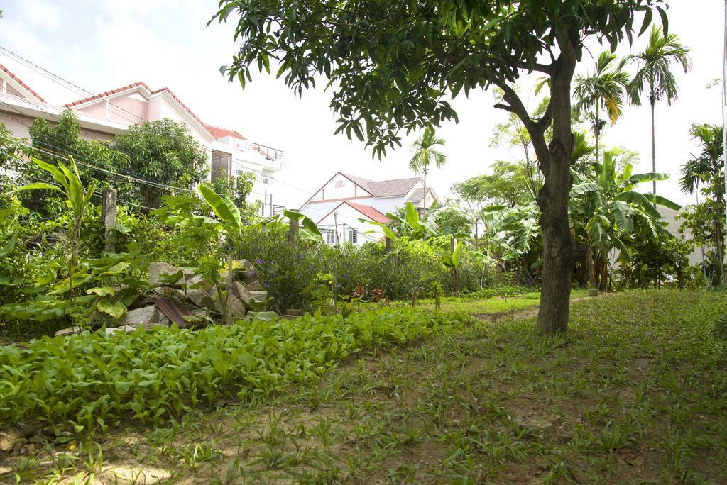 Hoian Joy Homestay Хой Ан Екстериор снимка