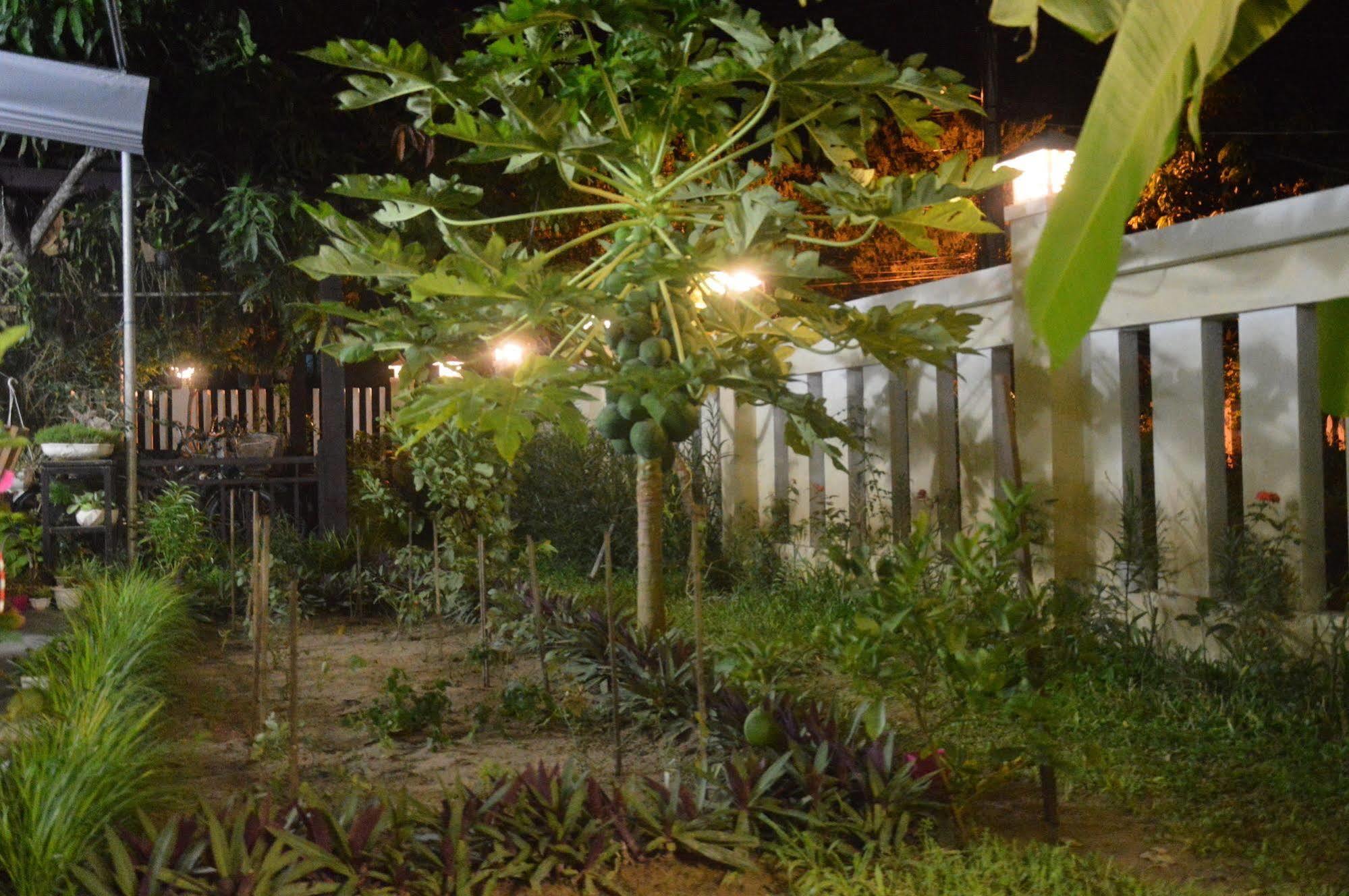 Hoian Joy Homestay Хой Ан Екстериор снимка